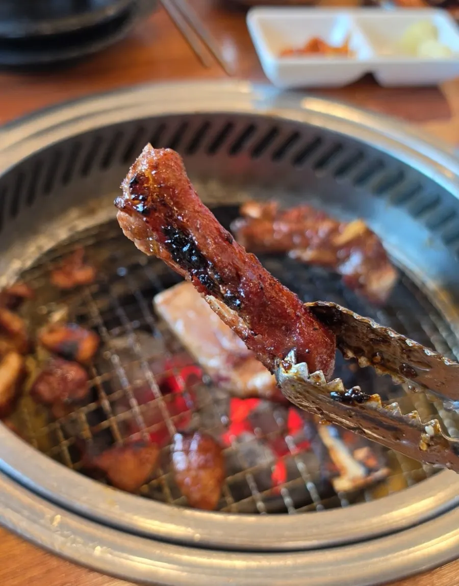Pork galbi rib bone picked clean of meat