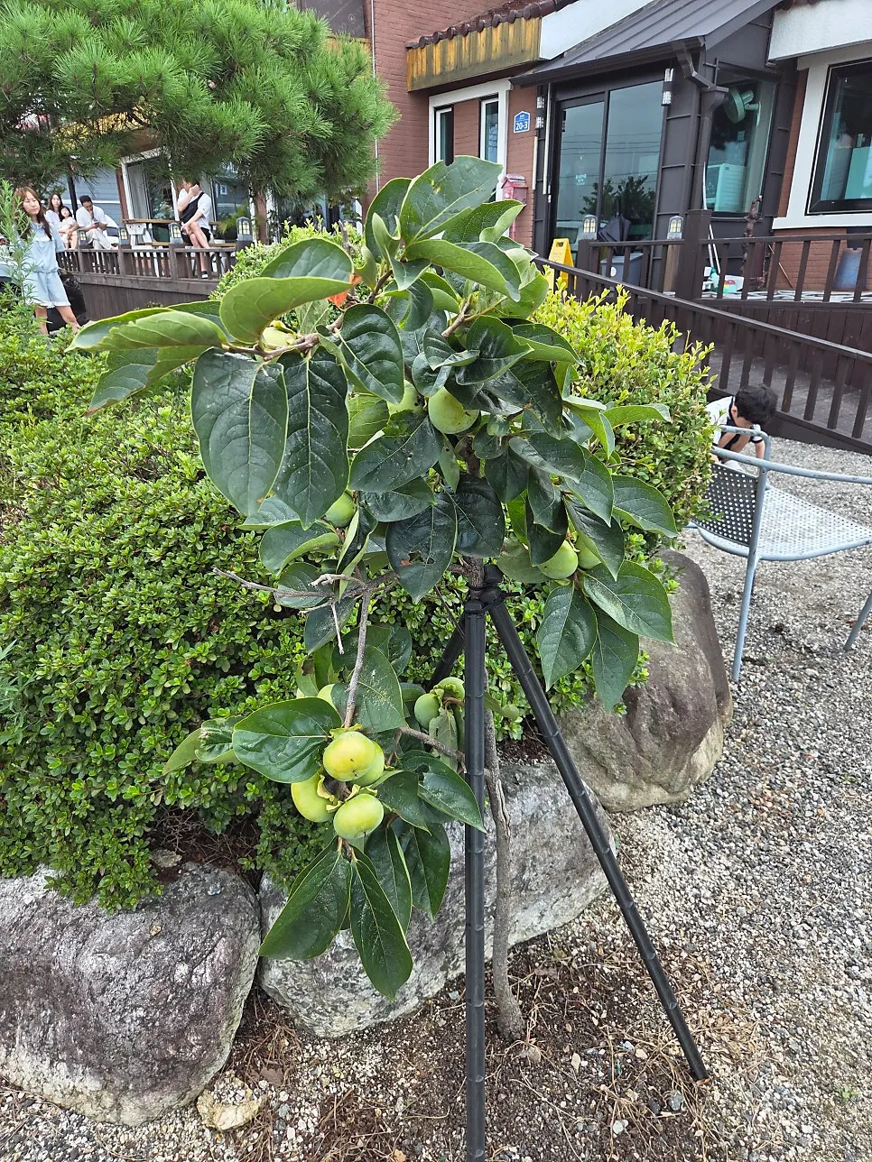 Countryside scenery around Yongchon Gogi-jip