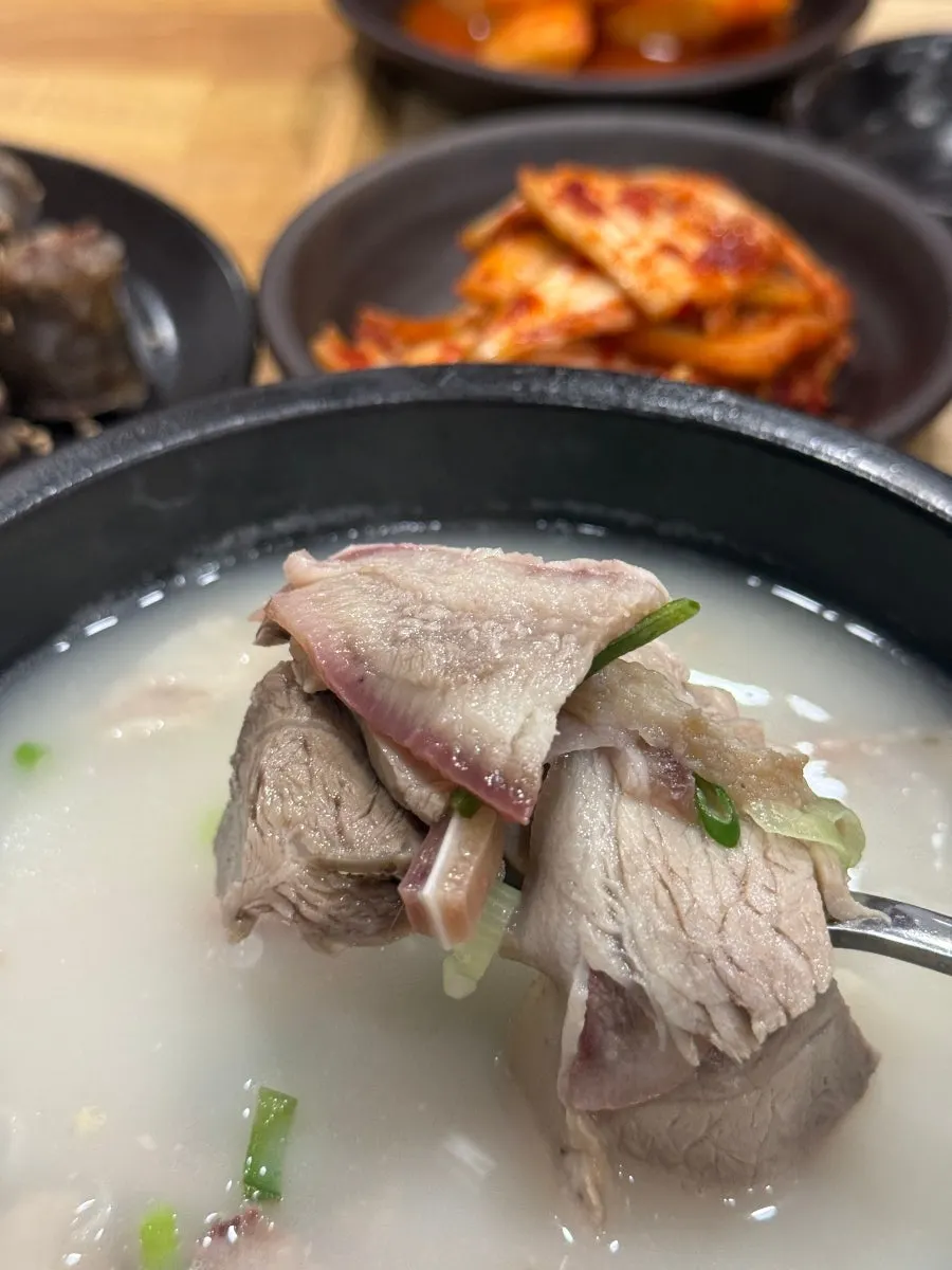 뚝배기 속 돼지국밥 고기