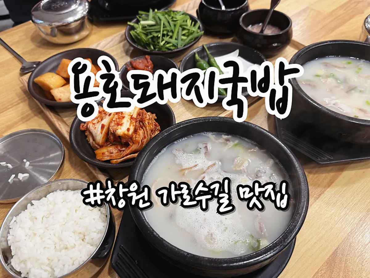 창원 가로수길 용호돼지국밥 대표 사진