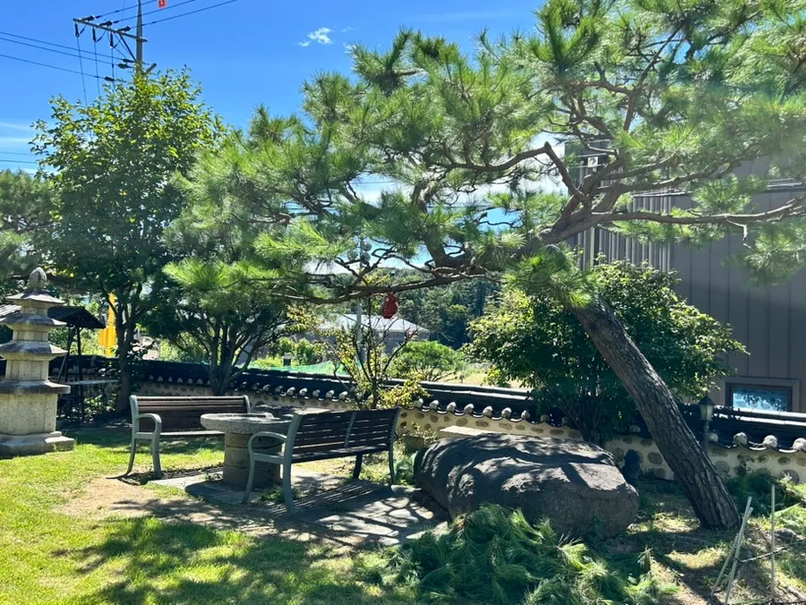 산과 나무가 어우러진 주변