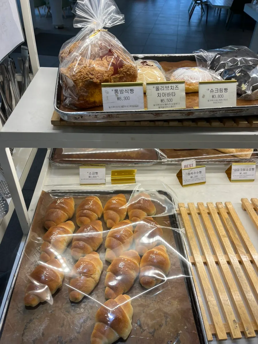 Cake display case
