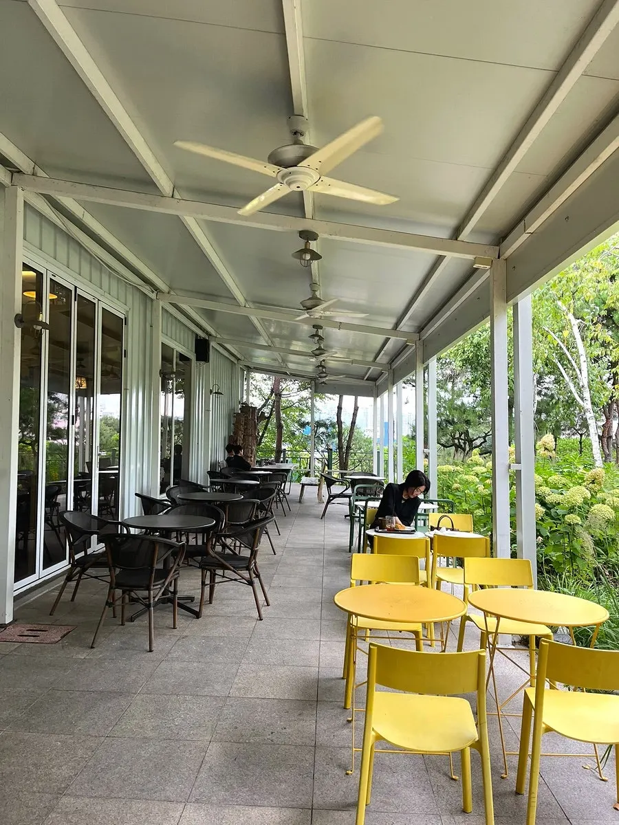 Outdoor café seating in the autumn breeze