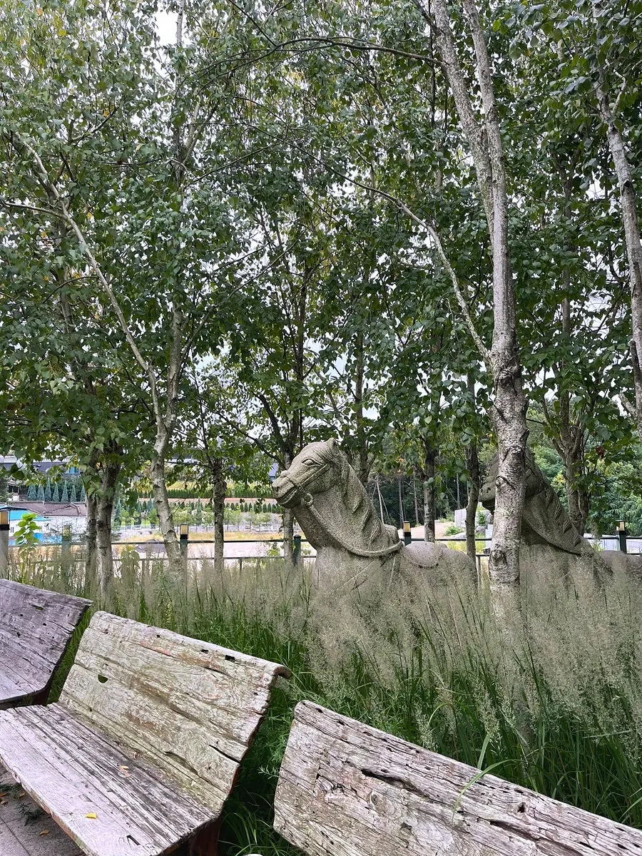 Overview of the café's outdoor space