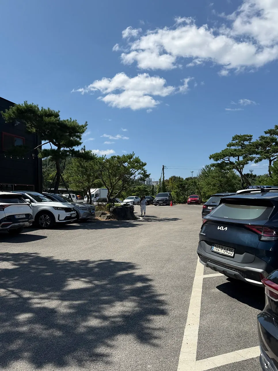Spacious restaurant parking area