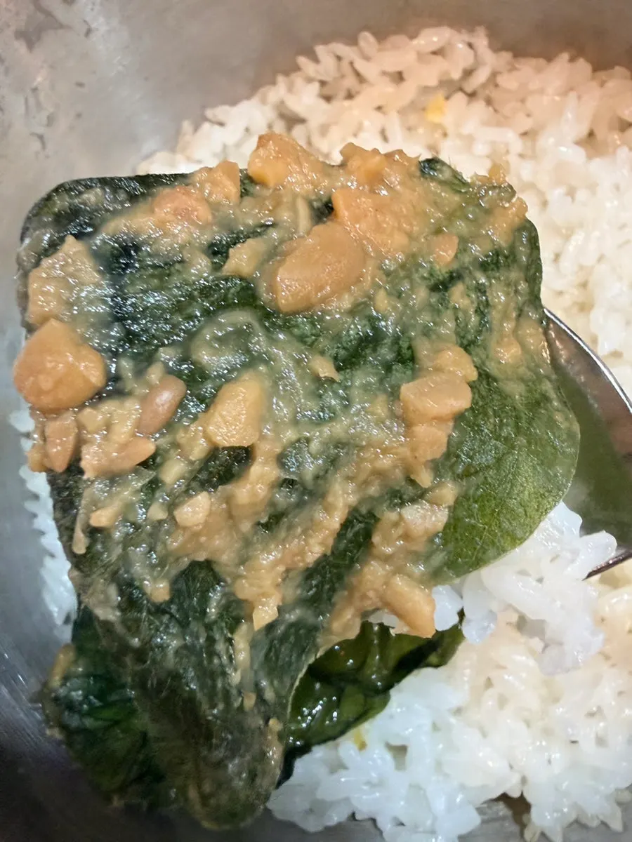 Freshly made pot rice
