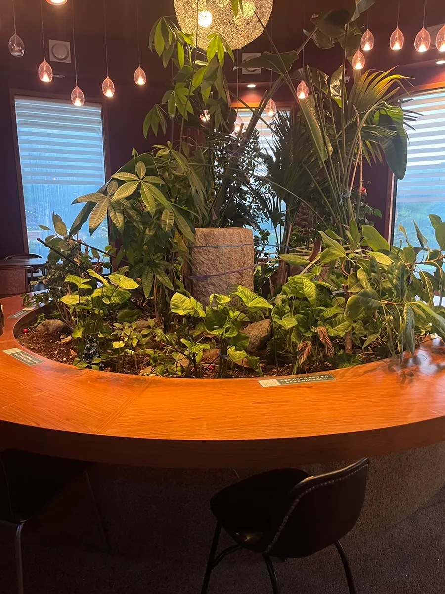 Unmanned café space for relaxing after a meal