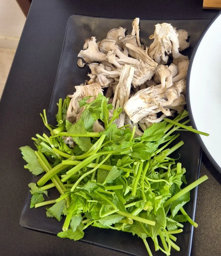 Generous serving of extra minari and mushrooms