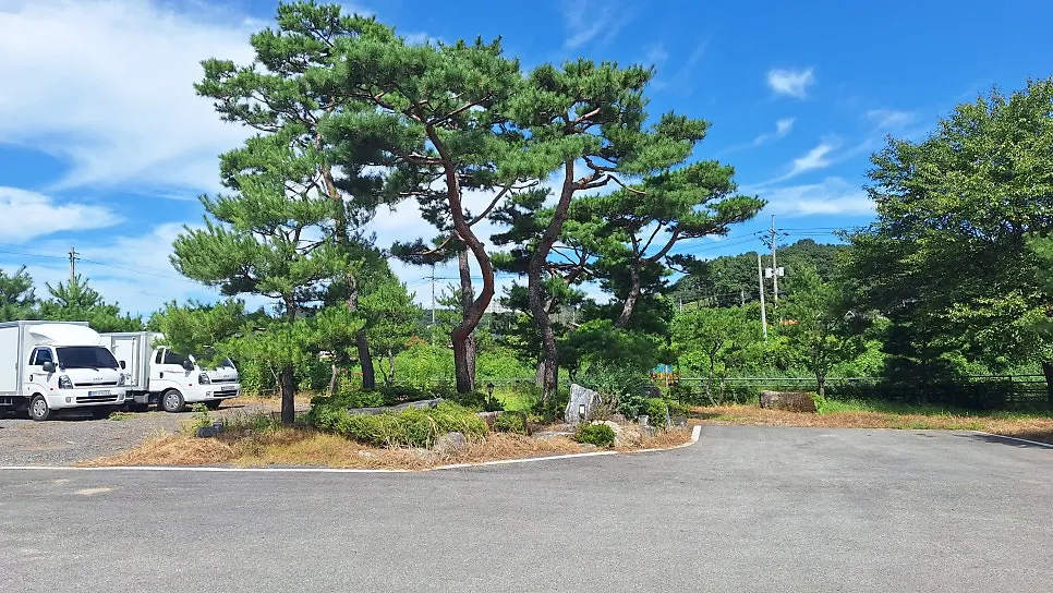 Parking area with room for about 50 cars at Daedong Korean Buffet