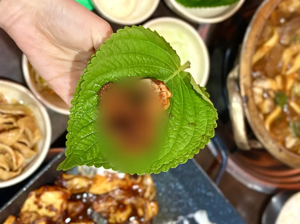 A table spread combining octopus and braised ribs