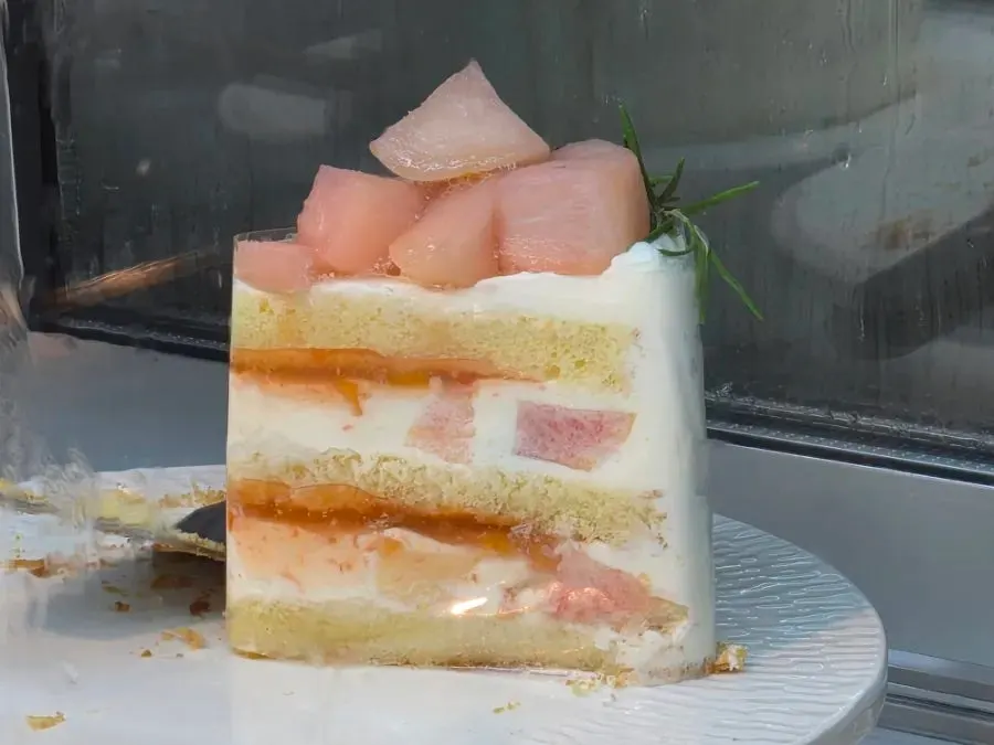 Plate showing the cross-section of the cake