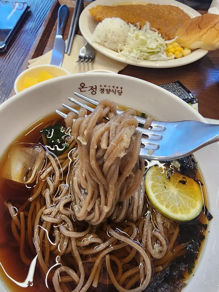 Buckwheat soba ordered with pork cutlet