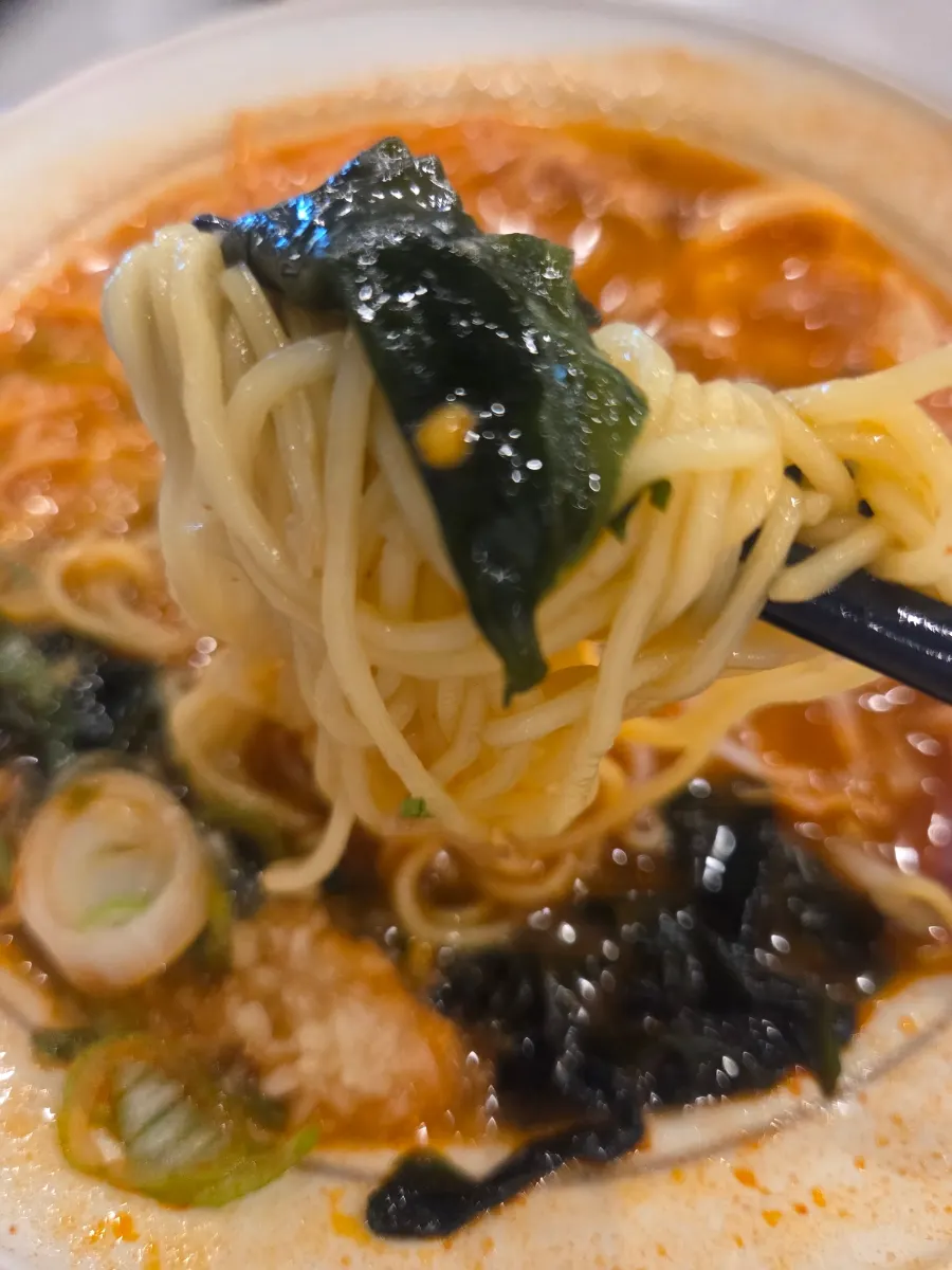 Ramen with Dongpo pork chashu topping