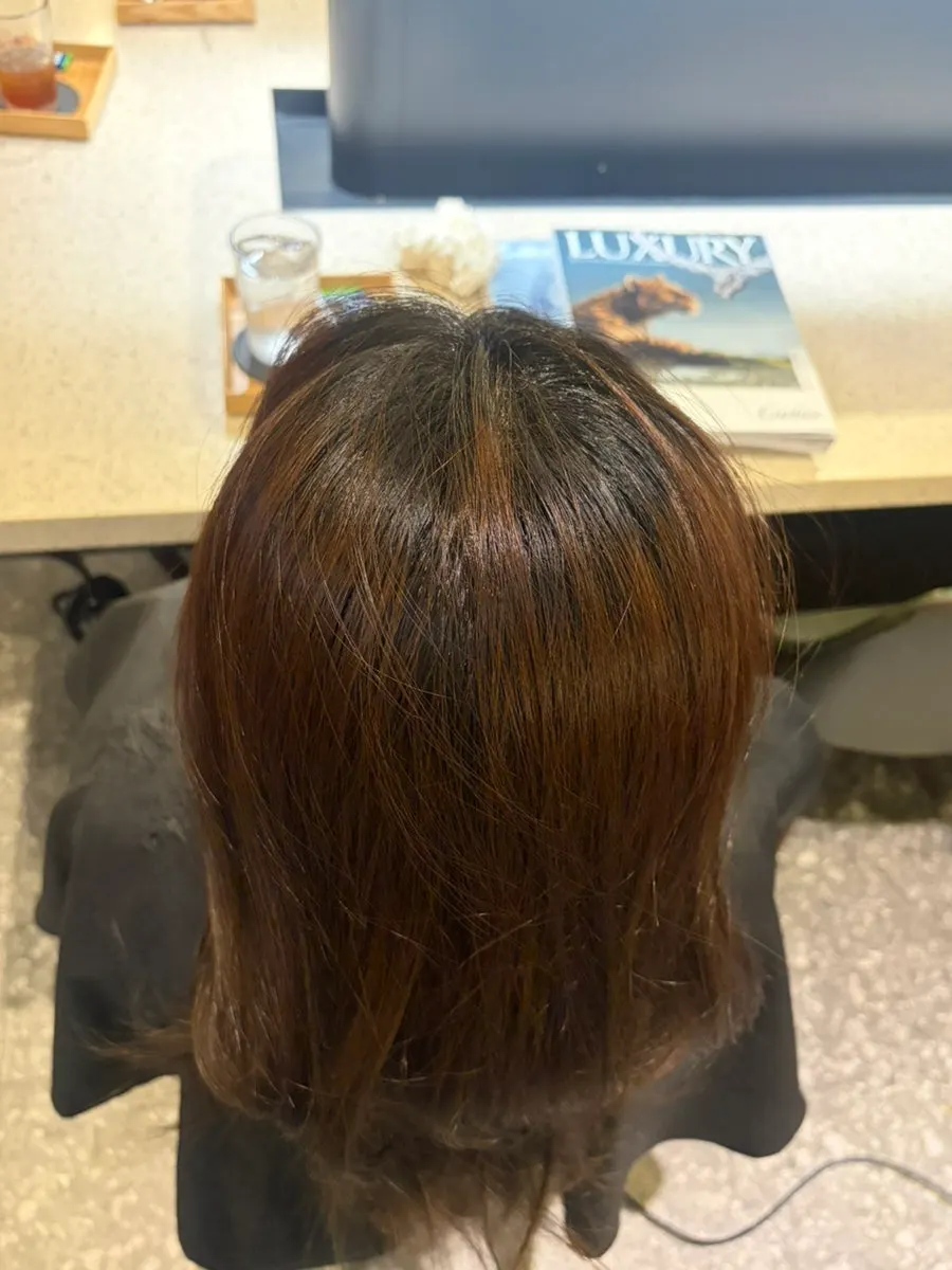 Hair mixed with khaki and reddish tones before the treatment