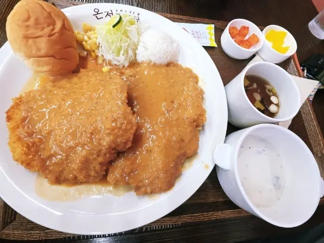 A plate of classic pork cutlet with sauce drizzled on top