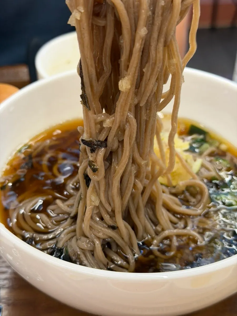 Close-up of buckwheat noodles topped with seaweed flakes and green onion