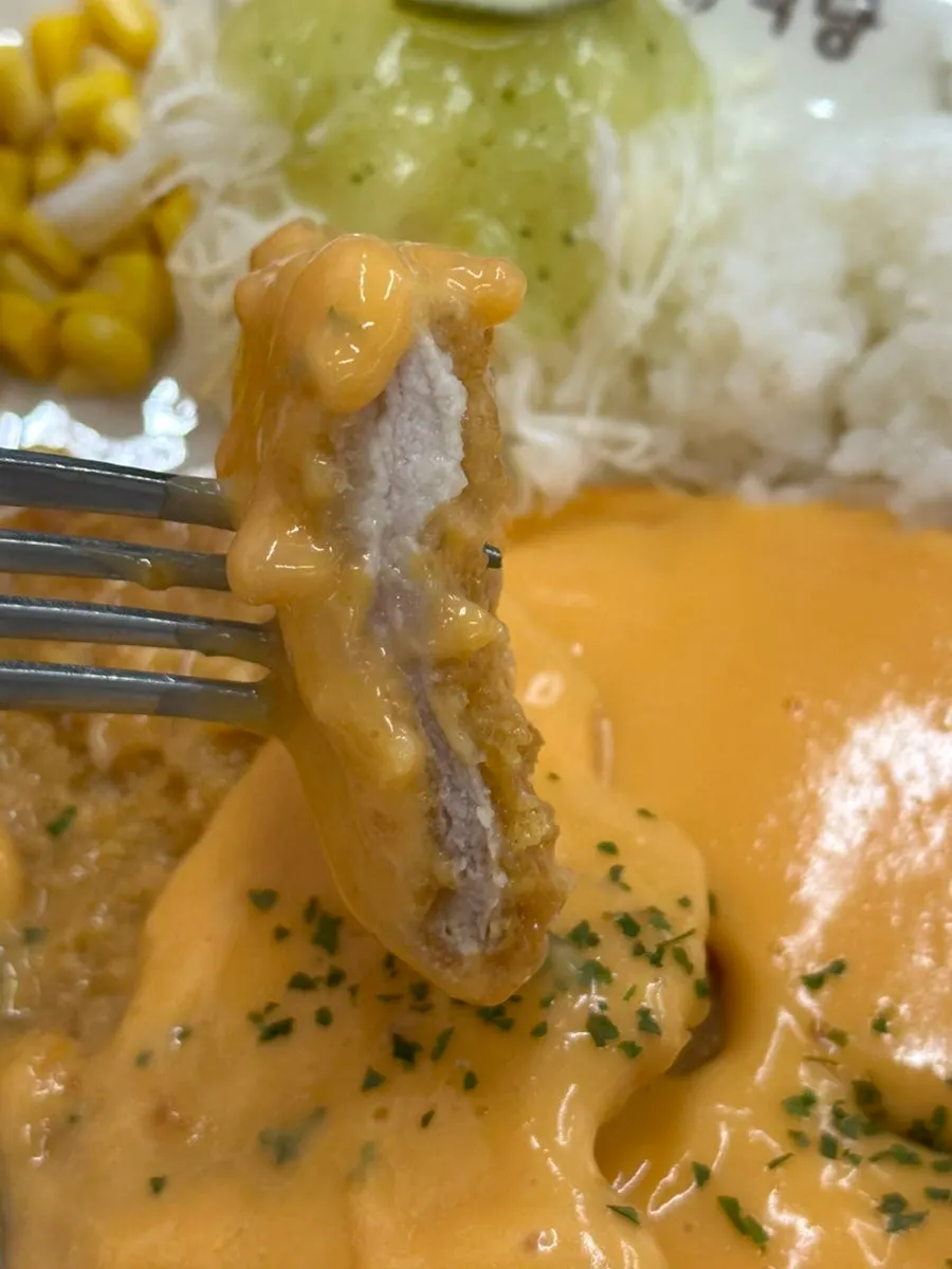 Single cutlet dish with two large pork cutlets