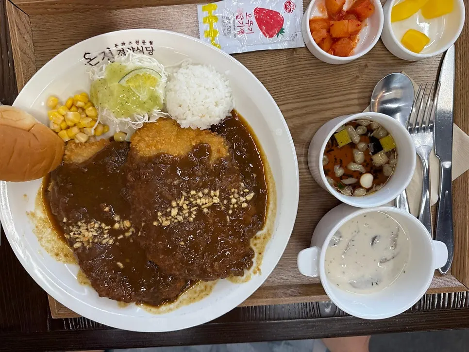 A plate with two large pieces of pork cutlet