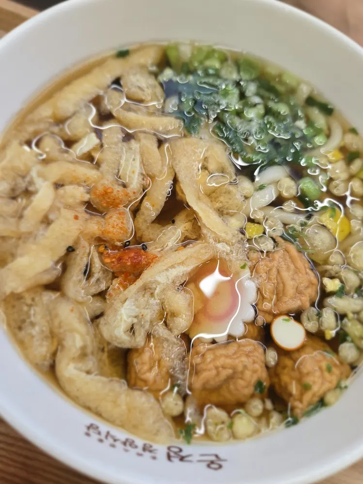 Udon with warm broth