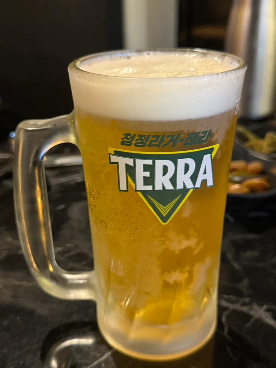 A glass of Terra draft beer topped with foam