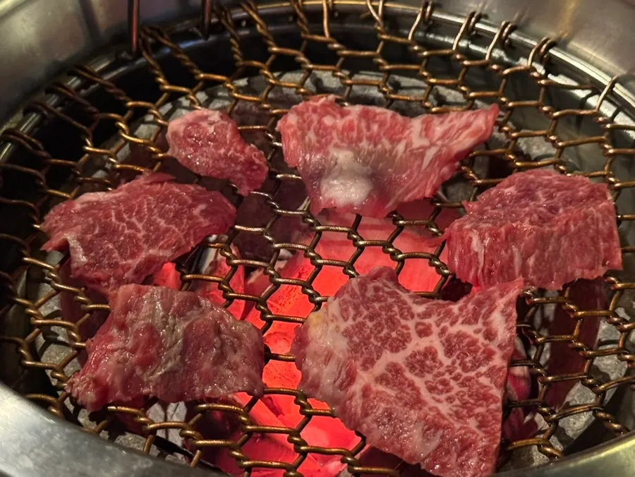 Golden-brown grilled jin galbisal
