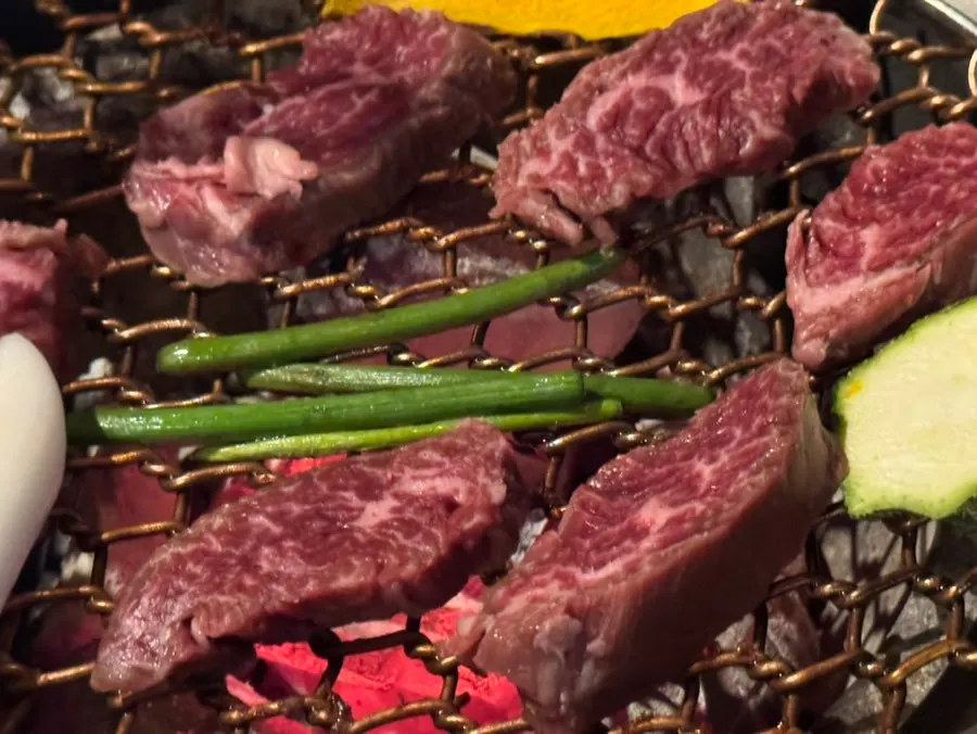 Tosisal cooking on the grate