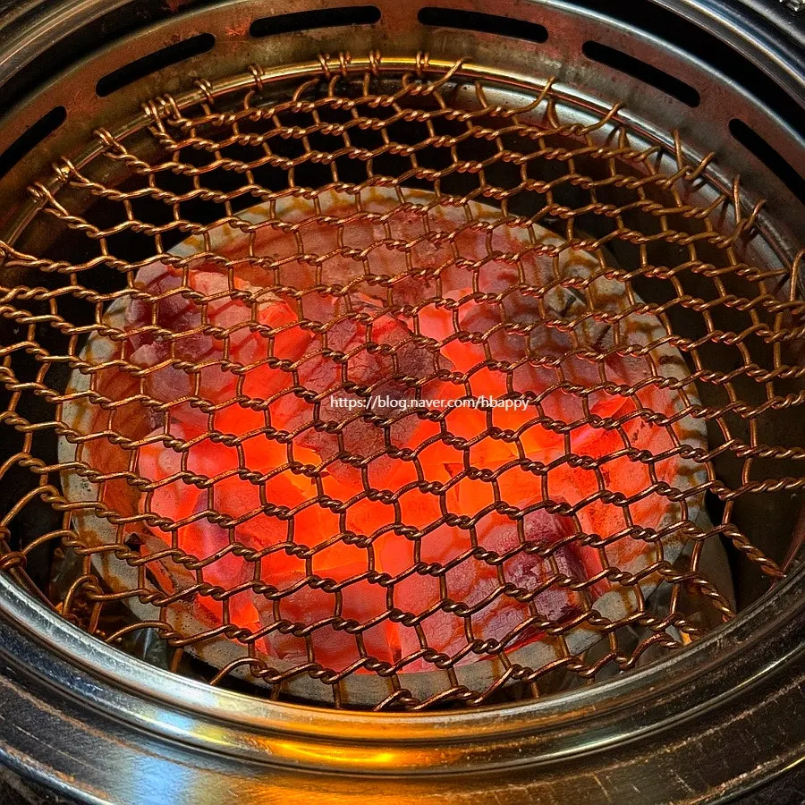 Table charcoal grill loaded up right after ordering