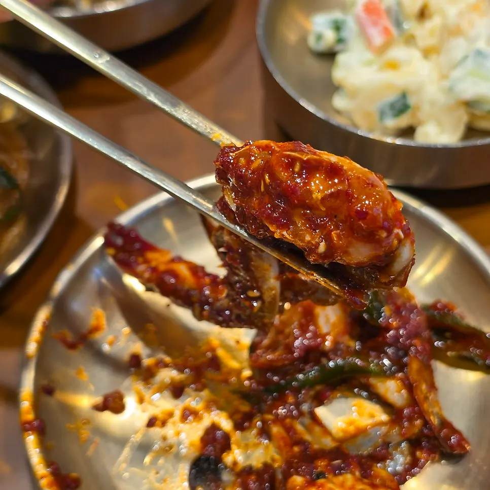 Side dishes of two kinds of kimchi, steamed egg, japchae, and mung bean sprouts