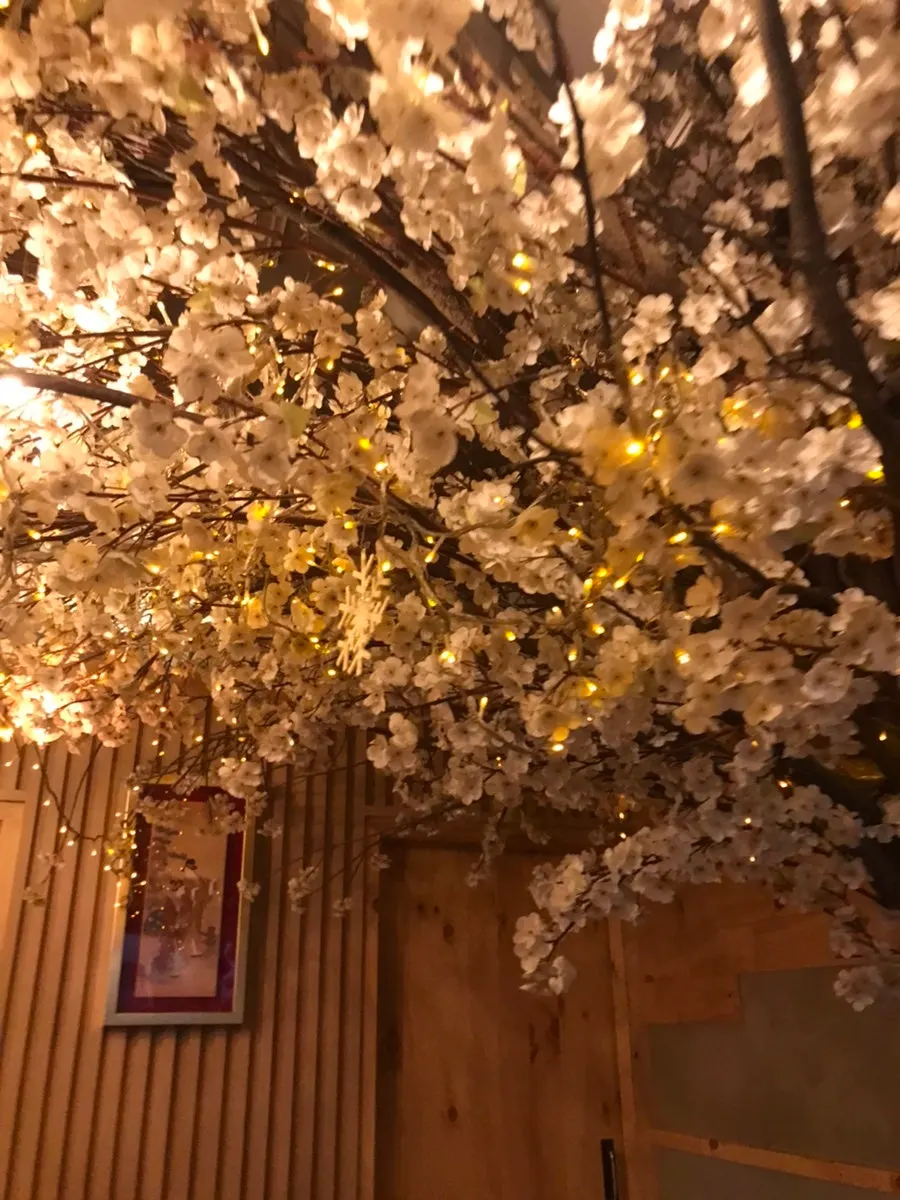 Inside Yoran with a cherry blossom tree