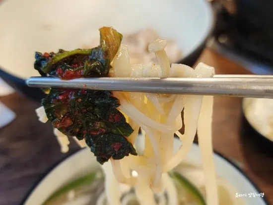 그릇에 덜어 담은 칼국수 면과 국물