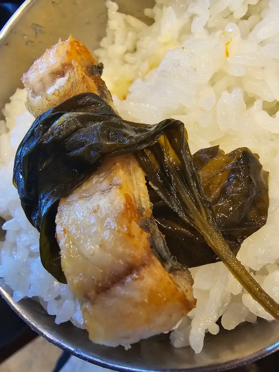 명이나물에 싸 먹는 장어구이