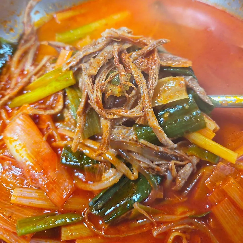 Red yukgaejang packed with beef and green onion