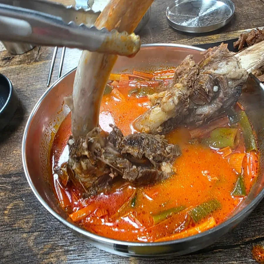 큼직한 갈비 두 대가 든 왕갈비 육개장