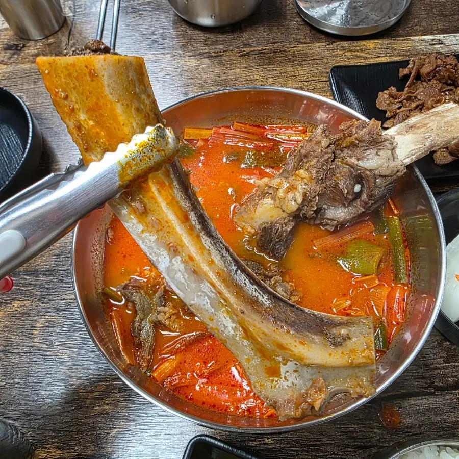 그릇을 꽉 채운 왕갈비 육개장 클로즈업