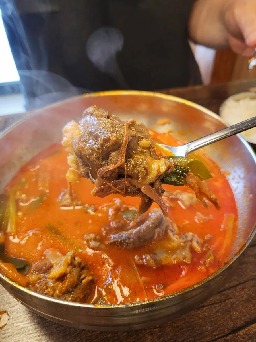 연겨자 소스에 찍어 먹는 큼직한 갈비살
