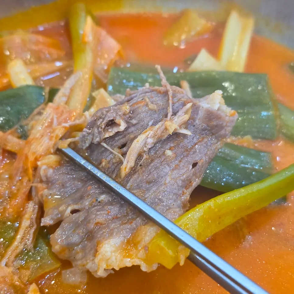 차돌박이와 대파가 어우러진 국물