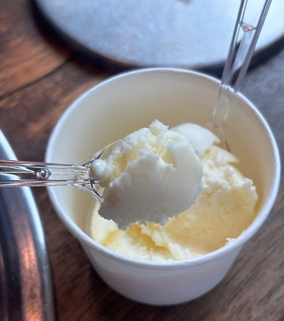 Dessert ice cream served in a cup