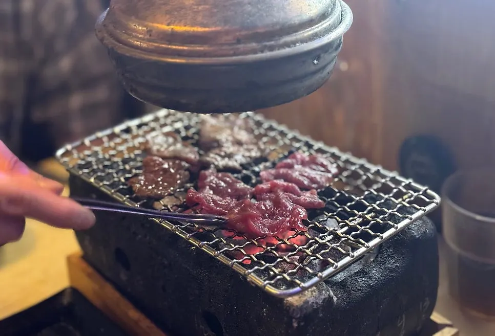 Close-up of nicely browned chicken skewers