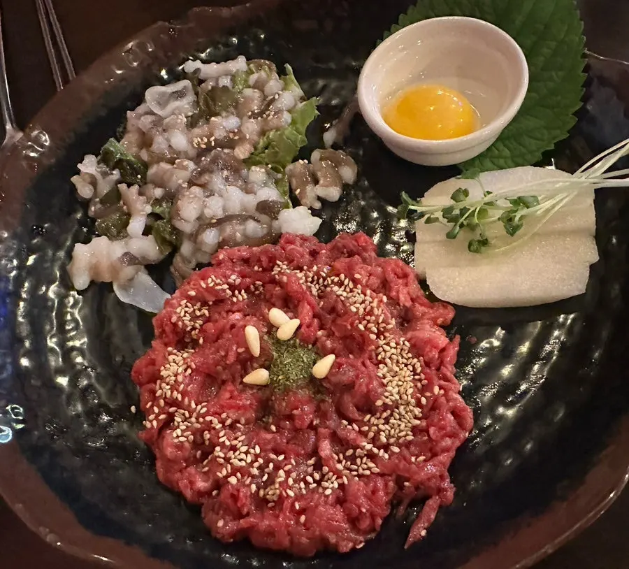 고체연료 화로에 올려 나온 다시국