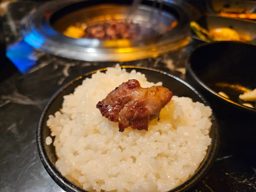 Meat wrapped up with rice