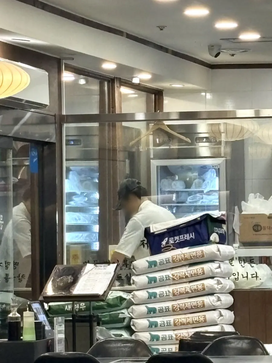 갓 뽑은 자가제면 칼국수 면