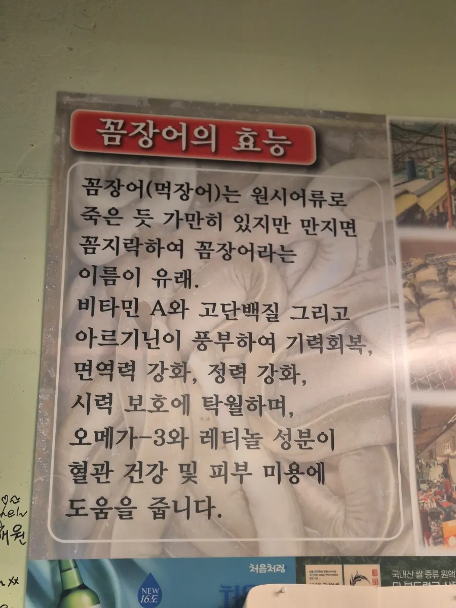 꼼장어와 붕장어 손질 과정을 볼 수 있는 모습